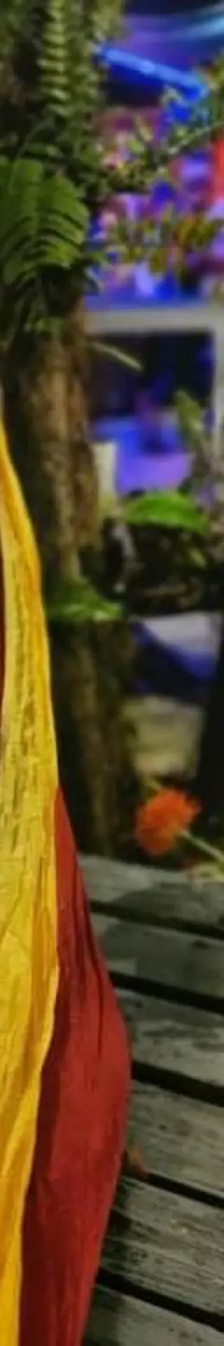 Die Hängematte ist immer dabei